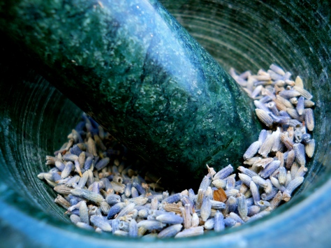 grinding fresh lavender